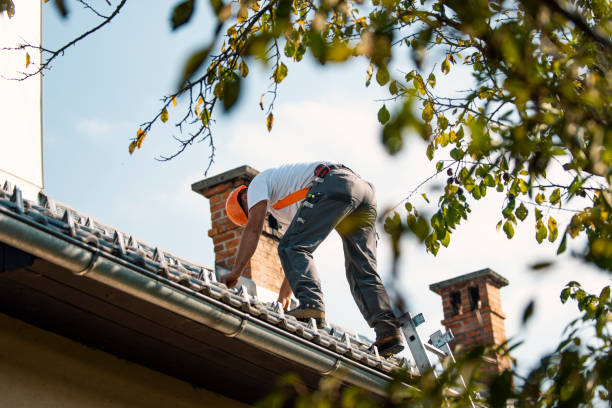 Best Commercial Roofing Services  in Lansing, MI