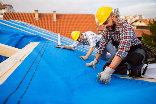 Best Roof Waterproofing Services  in Lansing, MI