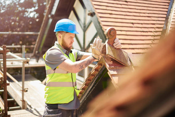 Best Roof Maintenance Services  in Lansing, MI
